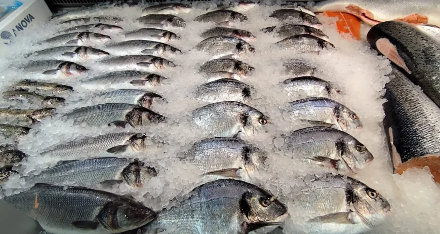 Uitgebreid visassortiment